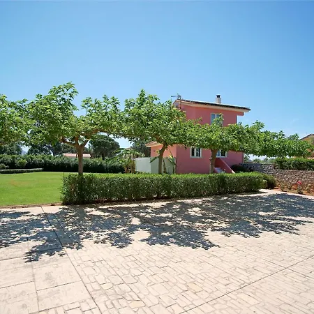 Dimitras
